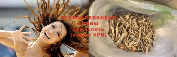 индика Липки