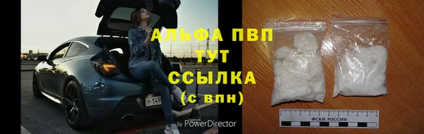 индика Липки