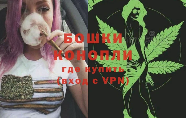 индика Липки