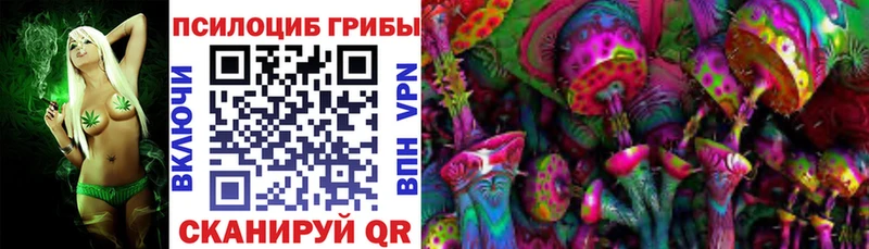 Купить где Зеленоградск Галлюциногенные грибы прущие грибы